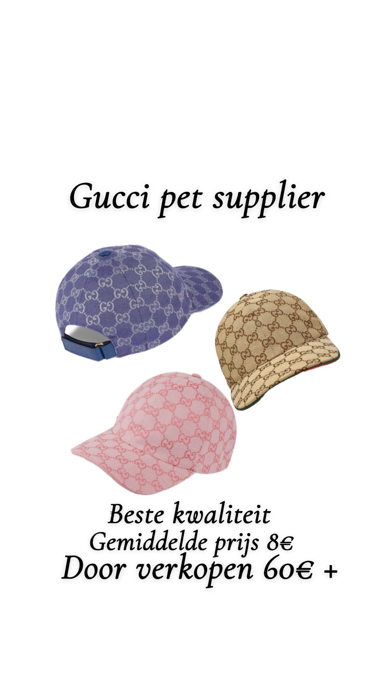 Gucci pet supplier